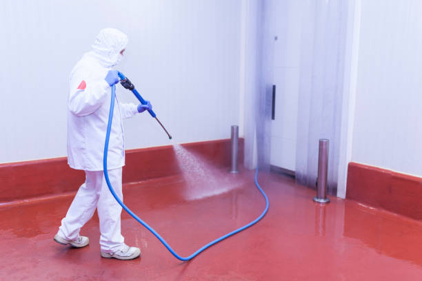 Best Playground Equipment Cleaning  in Adelphi, MD
